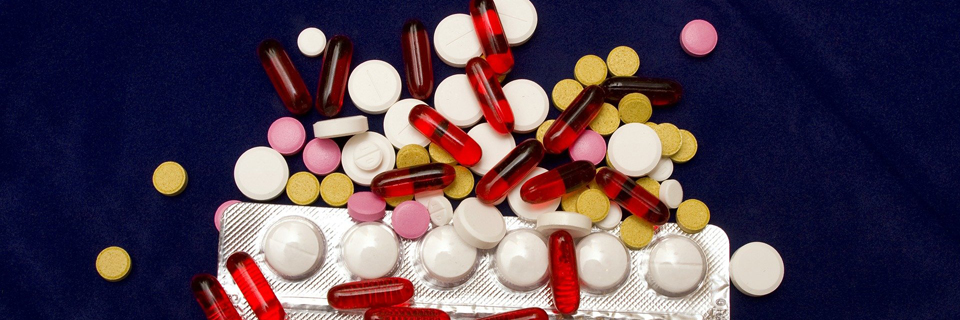 Fransk på Studieskolen